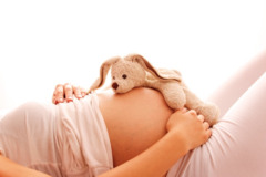 Babybauch mit Kuscheltier