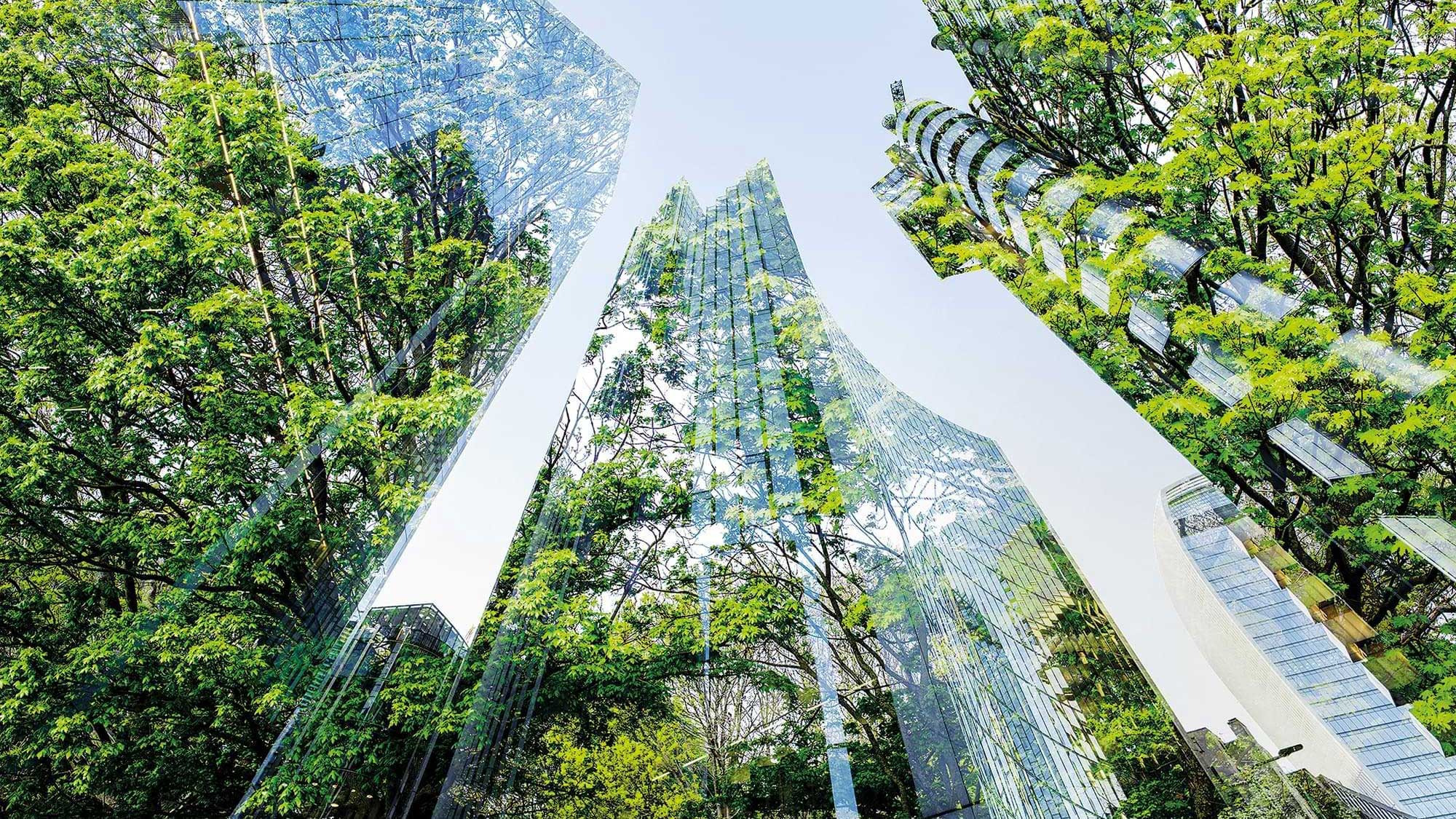 Eine Visualisierung von Bürogebäuden aus der Froschperspektive. In den Glasfronten spiegeln sich Bäume.